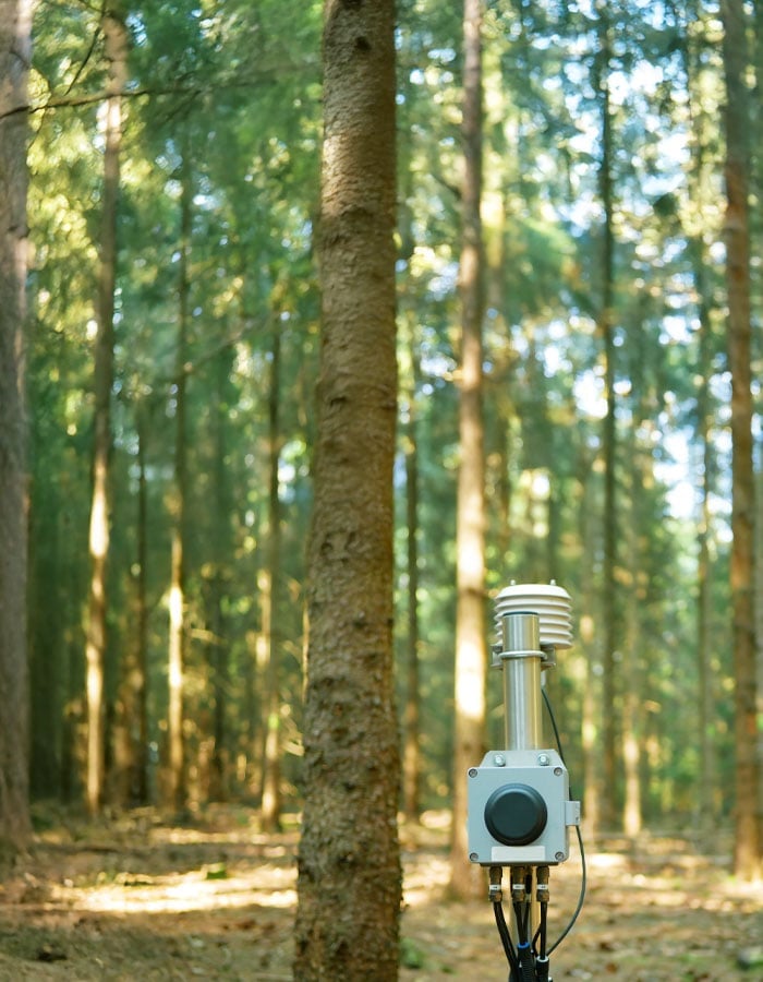 Environmental monitoring sensor installed in a forest clearing.