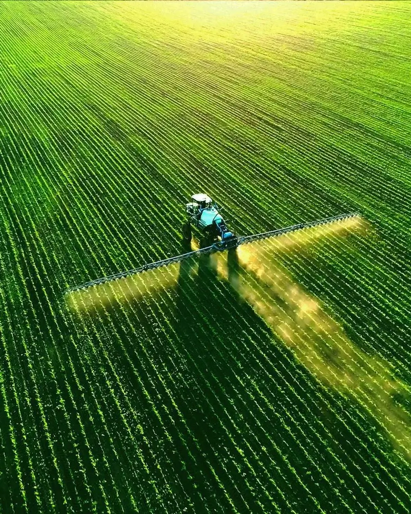 Aerial view of a tractor spraying crops in neat green rows.