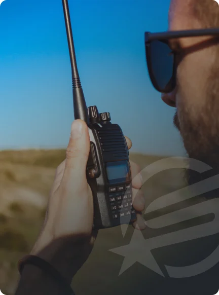 Government satellite communication consultation
