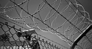 Border services and homeland security