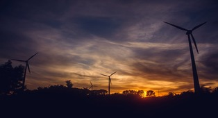 Natural resources management