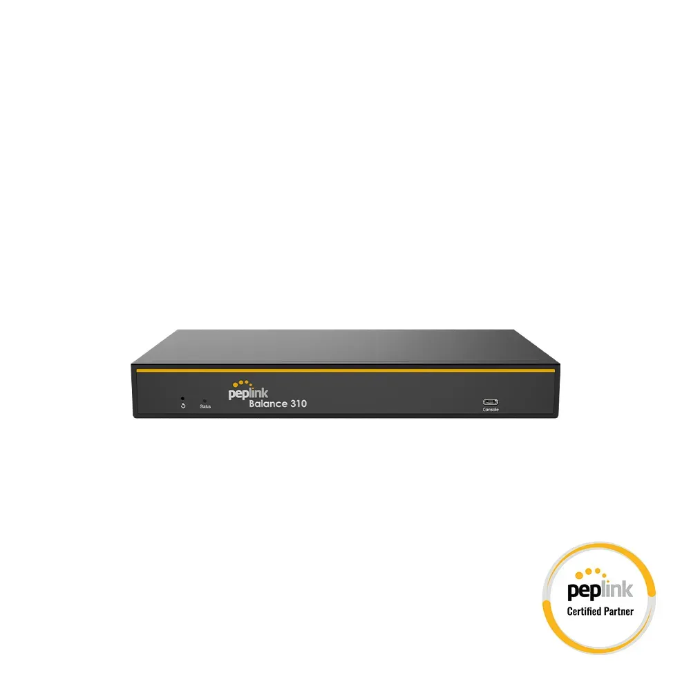 Peplink Balance 310