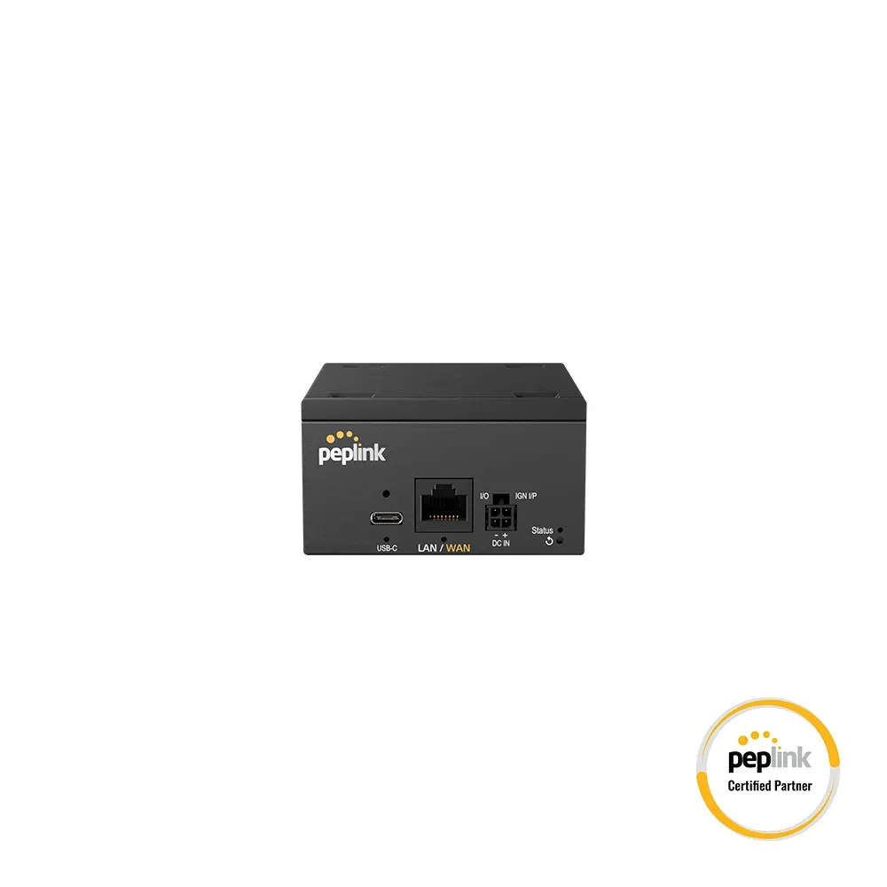 Peplink BR2 Micro