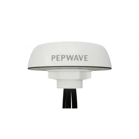 Peplink 2x2 MIMO WIFI