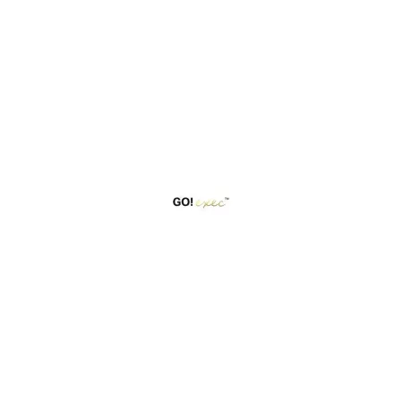 Iridium Go Exec 100 MB Monthly Rental
