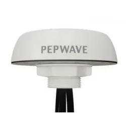 Puma Peplink Antenna