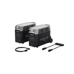 EcoFlow Delta Pro Full Voltage