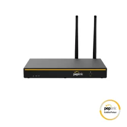 Peplink B One