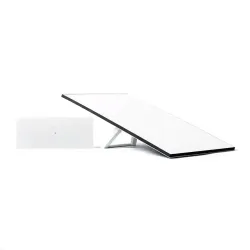 Starlink Standard 4 X