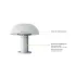 Peplink ANT-MB Thread