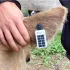 GSATSolar Satellite Tracker + Animal Ear Tag